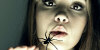 Eating a Spider