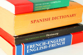 foreign language dictionaries