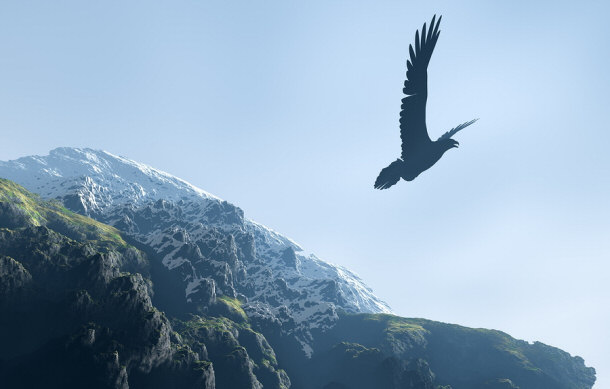 eagle soaring above mountains