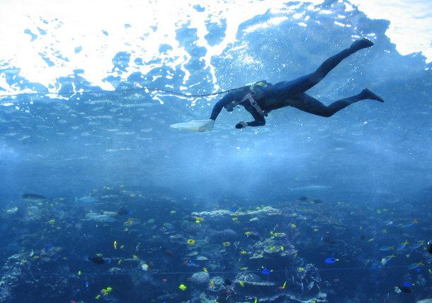 cleaning tank