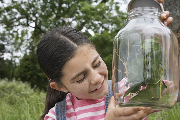 Girl Holding Her Stick Insect Homemade Vivarium