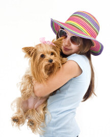 Girl holding yorkie