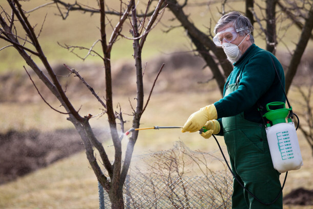 By Chemically Treating Your Yard You Decrease the Likelihood of Heartworms