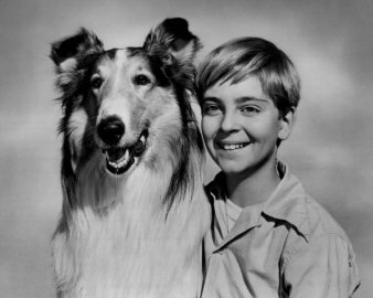 Lassie and Tommy for the Lassie TV show