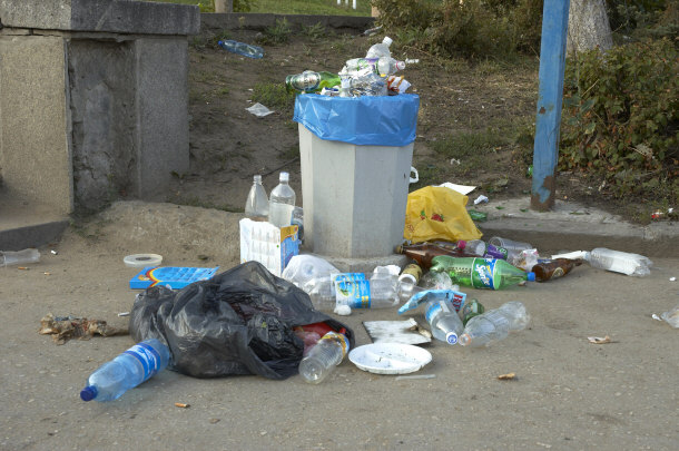 messy trashcans are hazardous to dogs