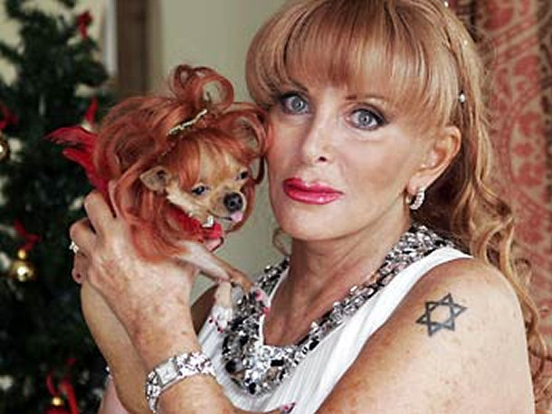 Their Caretaker is Stipulated to Pamper These Chihuahuas Until They Pass Away