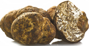 White truffle