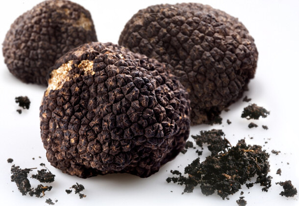 truffles arranged on white background