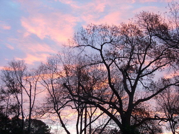 Cotton Candy Sky on December 7th