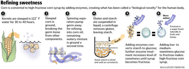 High Fructose Corn Syrup