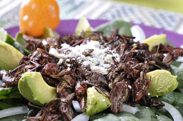 Grasshopper Salad
