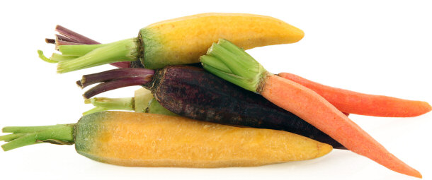 Purple, Yellow, and Traditional Orange Carrot