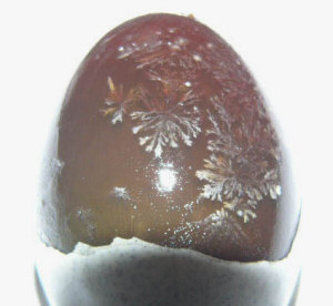 Century Egg With Snowflake Patterns