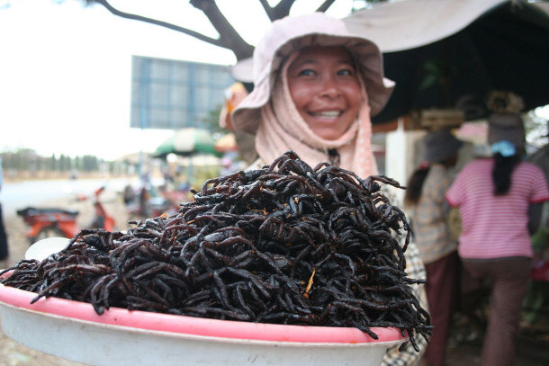 Fried Spiders For Sale at the Market in Skuon, Cambodia