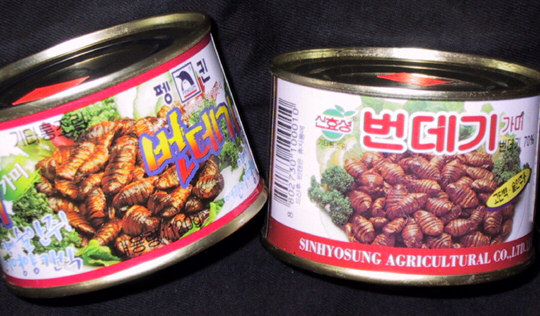Silkworm Pupae Cans Canned Pupae