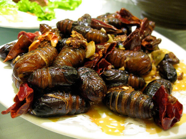 Dish of Silkworm Pupae Silkworm Pupae Arranged So Delicately on a Plate: