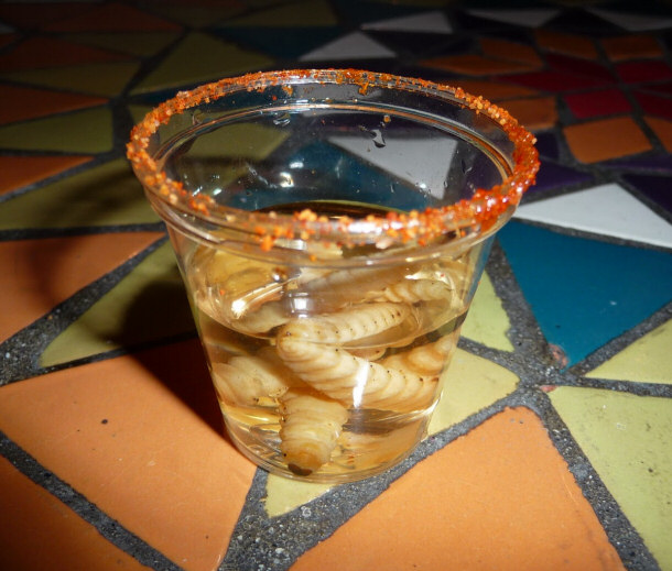 Tequila Worms