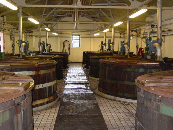 Brewing Vessels Containing Wash (Washbacks) for Single Malt Scotch Production