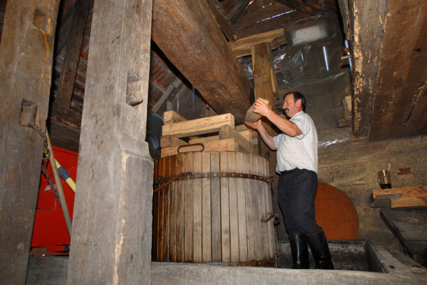 Wine Being Produced in the Traditional Way