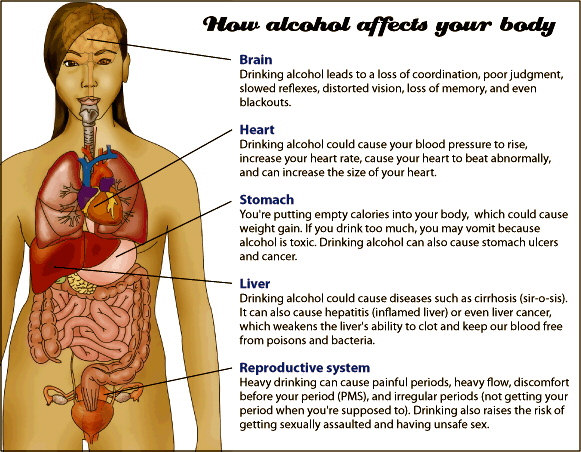 how alcohol affects the body