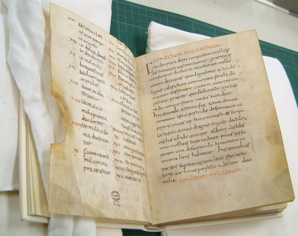 Apicius Manuscript (ca. 900 AD) Belonging to the Monastery of Fulda in Germany