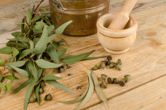 Medicinal Eucalyptus oil