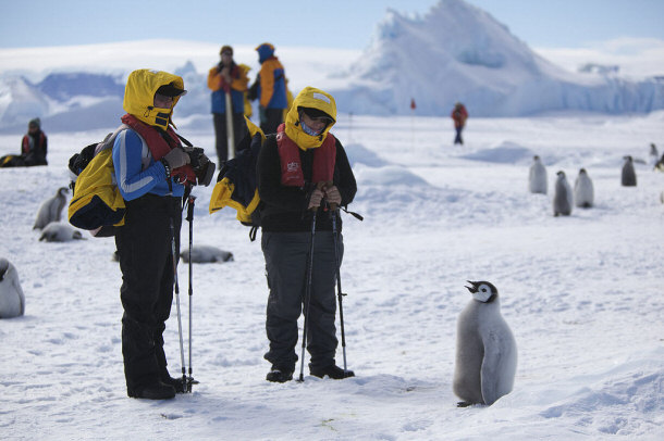 local wildlife Make Sure Hang With the Locals: