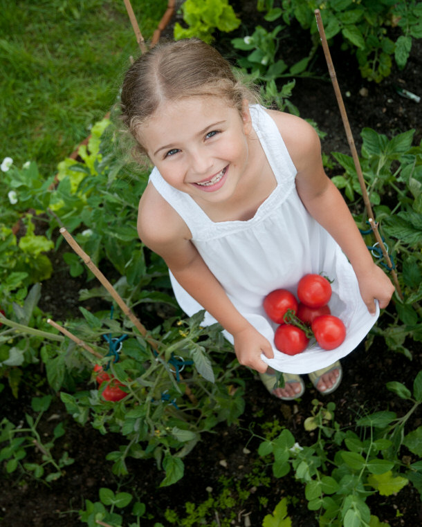 Tomatoes Can Help Prevent Cancer