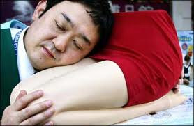 Japan's Girlfriend Knee Pillow