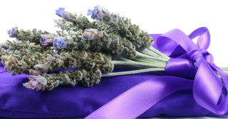 Lavender herb natural sleep