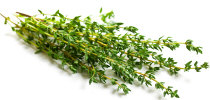 thyme