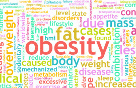 Obesity concept oveview