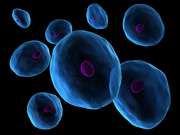 Active Cells