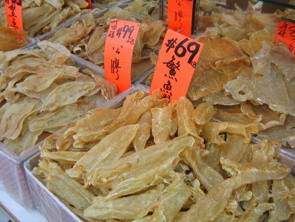 Isinglass- Dried Fish Bladders