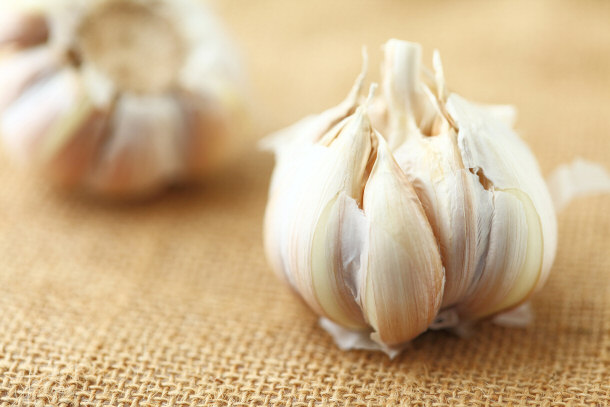 garlic