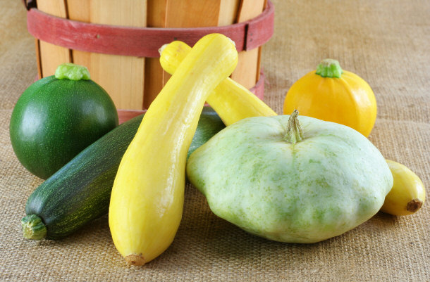 fresh assorted summer squash