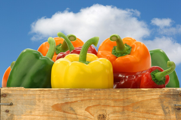 fresh raw organic bell peppers