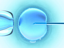 Invitro fertilization