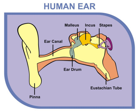 Earaches - Causes and Treatments