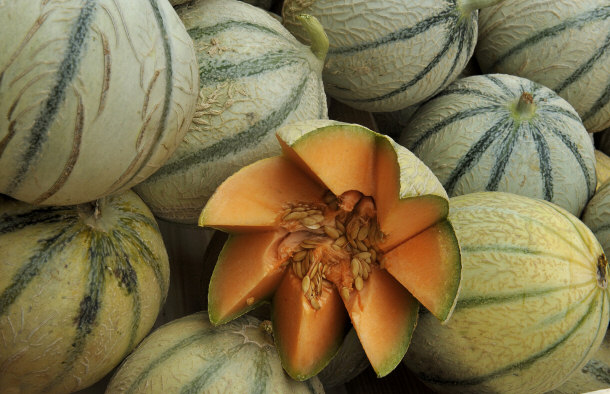 Cantaloupe