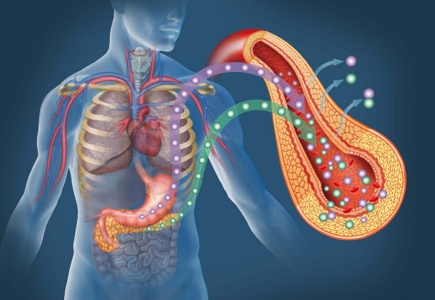 Diabetes Concept Illustrating Insulin Issues in the Pancreas