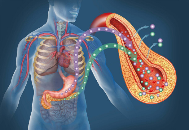 Diabetes Concept Illustrating Insulin Issues in the Pancreas