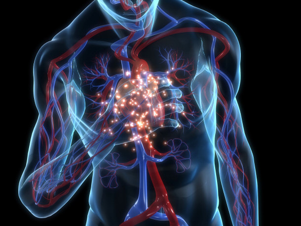 Different Kinds of Plaque - Oral and Cardiovascular Health Affected Simultaneously