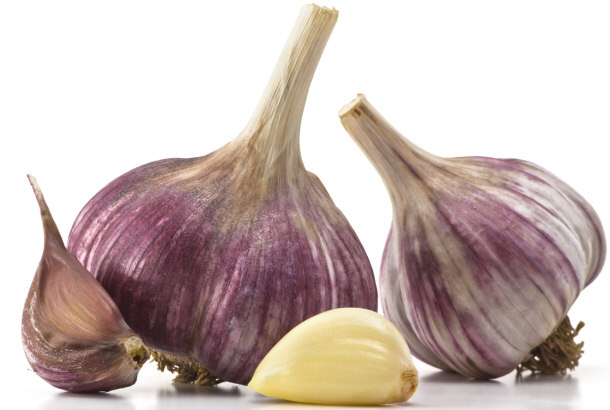 garlic