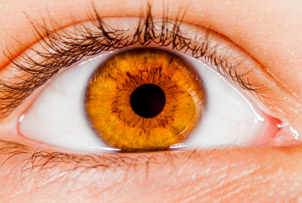 human eye closeup, eyesight, eye, vision