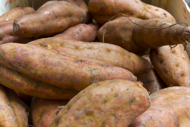 sweet potatoes