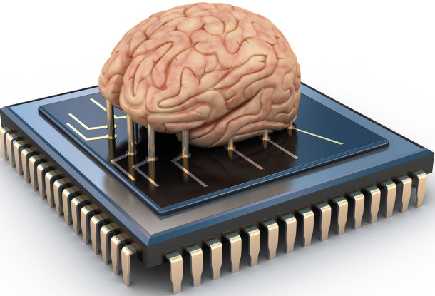 neuroplasticity connecting pathways in the brain