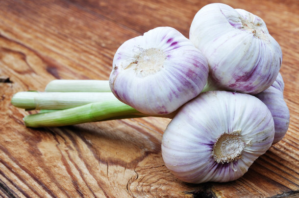 garlic