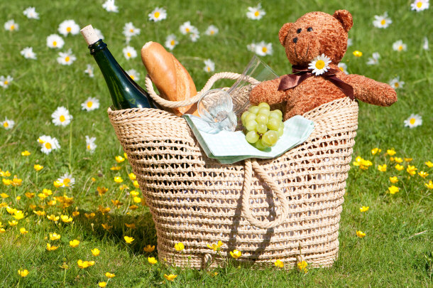 Teddy Bear Picnic Day