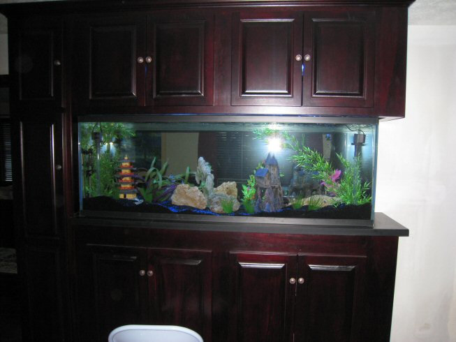 huge aquarium stand with oak wood